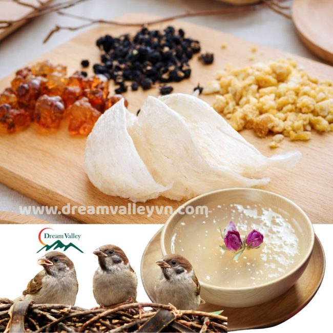 Yến rút lông cao cấp 100g – quà biếu sức khỏe, tổ yến nguyên chất 100% đã làm sạch
